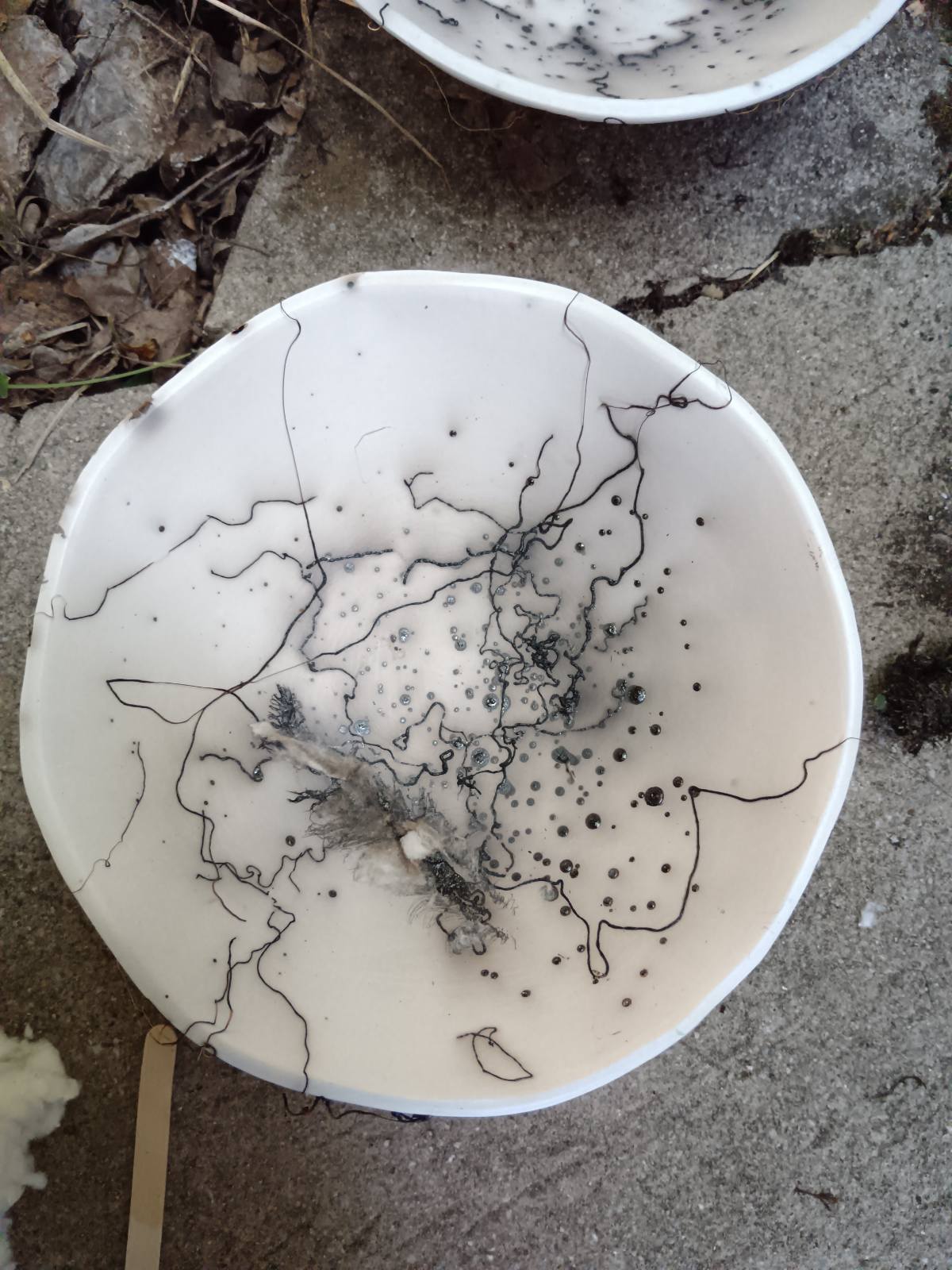 viber_slika_2025-06-24_07-46-58-702