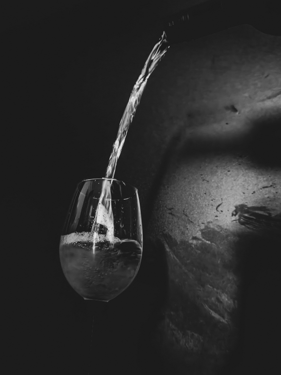 Vinska1_MagdalenicNiko_TrenutakPrijePrvogGutljaja I_mentorIvanCondor-HIGH (1)