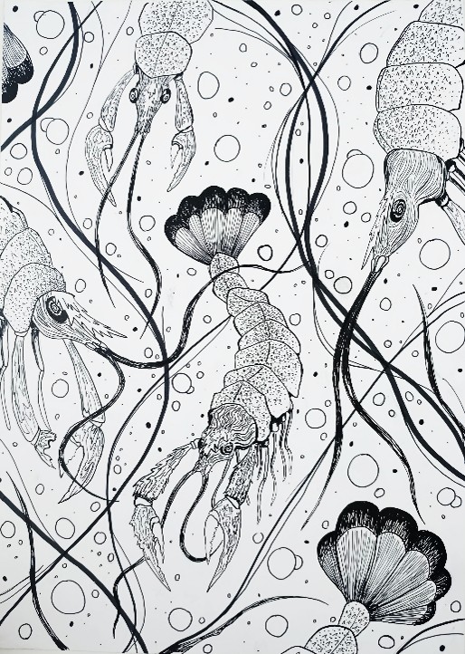 Antonija Bočkaj, 3.c 2.mjesto