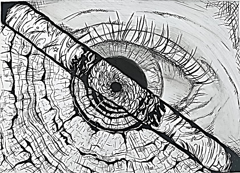 Nina Turk 3.c 1.mjesto