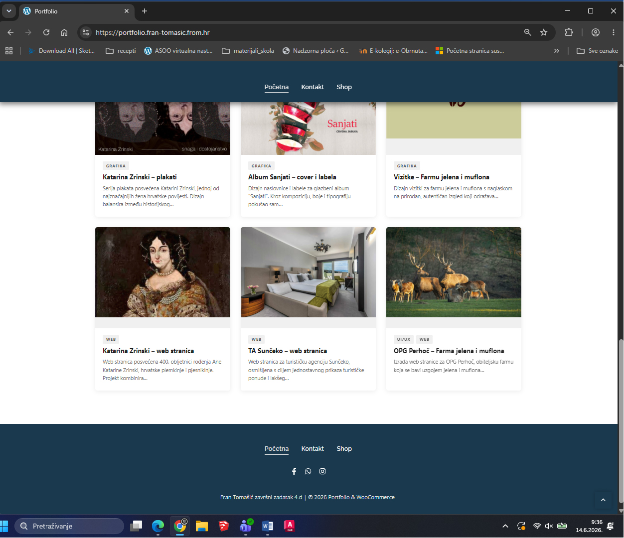 PORTFOLIO  i izrada “Custom Post Plugin”