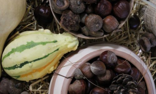 Darovi jeseni u našem domu