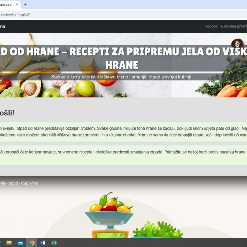 U susret modularnom konceptu nastave – učenje temeljeno na radu