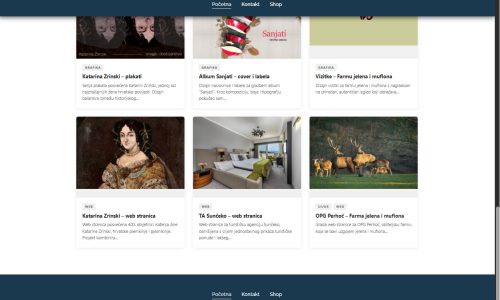 PORTFOLIO  i izrada “Custom Post Plugin”